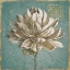 Picture of SEED POD I NO WORDS TURQUOISE