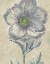 Picture of BELLE FLEUR II CROP LINEN