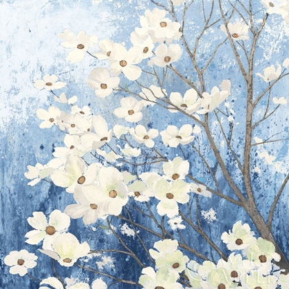 Picture of DOGWOOD BLOSSOMS I INDIGO