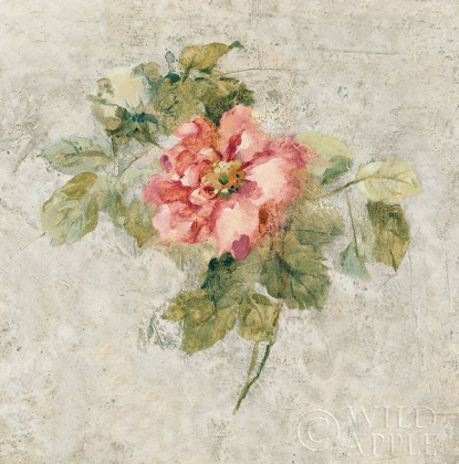 Picture of PROVENCE ROSE II RED AND NEUTRAL