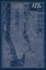 Picture of BLUEPRINT MAP NEW YORK