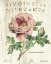 Picture of PIVOINE DE PRINTEMPS