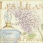 Picture of FLEURS AND PARFUM IV