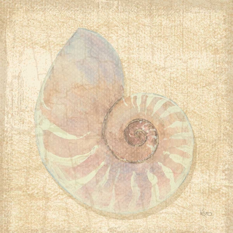 Picture of TROPICAL ISLAND SHELL I