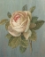 Picture of JUNE ROSE GREEN