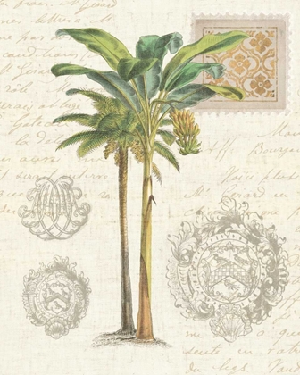 Picture of VINTAGE PALM STUDY I