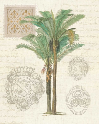 Picture of VINTAGE PALM STUDY II