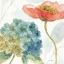Picture of RAINBOW SEEDS FLOWERS IV