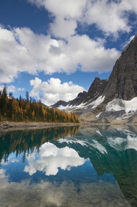 Picture of FLOE LAKE REFLECTION I