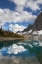Picture of FLOE LAKE REFLECTION I