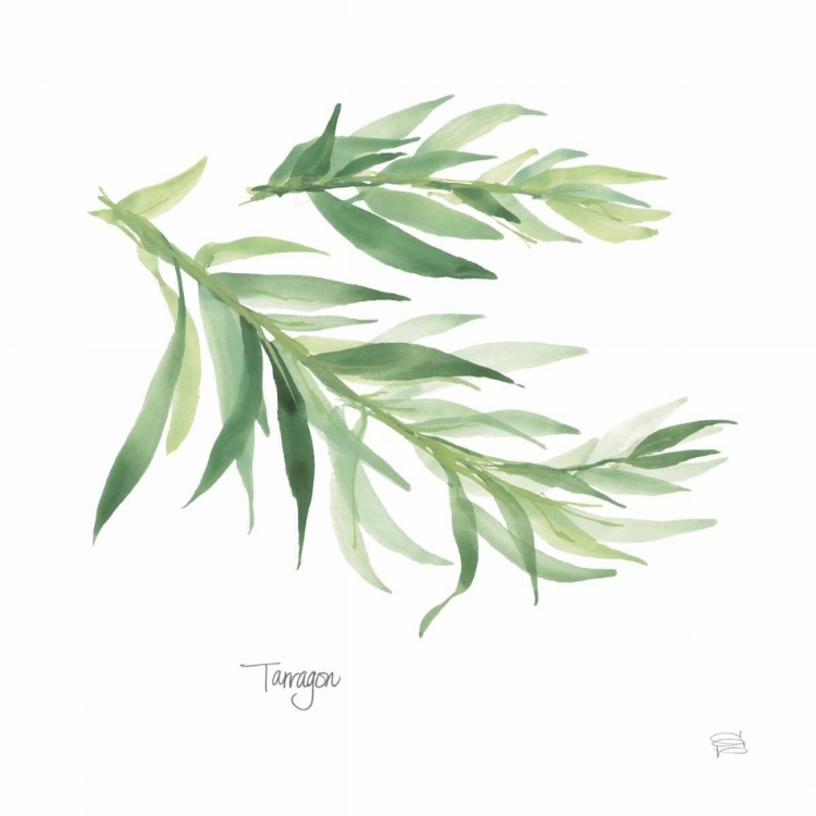 Picture of TARRAGON V2