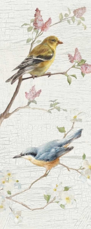 Picture of VINTAGE BIRDS PANEL I