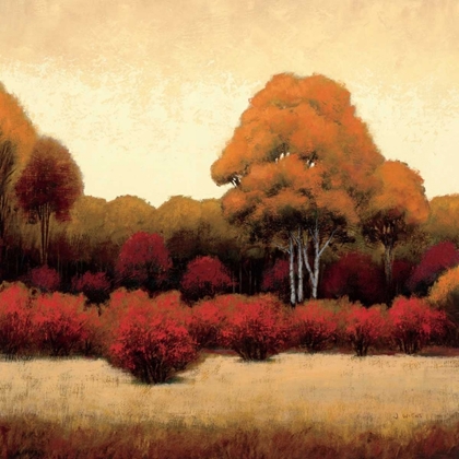 Picture of AUTUMN FOREST I