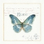 Picture of RAINBOW SEEDS BUTTERFLIES V