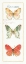Picture of RAINBOW SEEDS BUTTERFLIES II