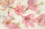 Picture of MAGNOLIAS IN BLOOM ON WHITE