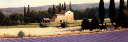 Picture of LAVENDER FIELDS PANEL II CROP