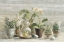 Picture of GREENHOUSE ORCHIDS ON WOOD