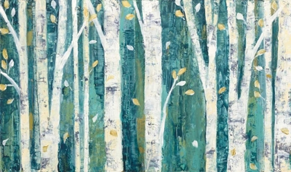 Picture of BIRCHES IN SPRING