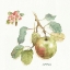 Picture of ORCHARD BLOOM I