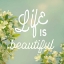 Picture of SPRING BEAUTY I SQUARE