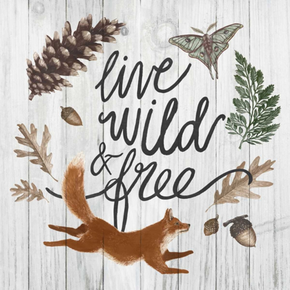 Picture of LIVE WILD AND FREE