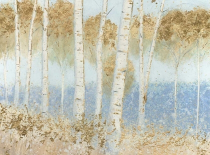 Picture of SUMMER BIRCHES