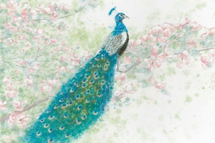 Picture of SPRING PEACOCK I PINK FLOWERS