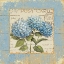 Picture of THINKING OF YOU I