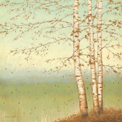 Picture of GOLDEN BIRCH II WITH BLUE SKY