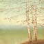 Picture of GOLDEN BIRCH II WITH BLUE SKY