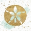 Picture of SILVER SEA LIFE AQUA SANDDOLLAR
