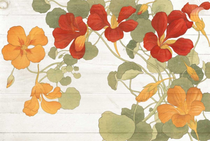 Picture of SUMMER NASTURTIUMS COTTAGE