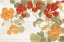 Picture of SUMMER NASTURTIUMS COTTAGE