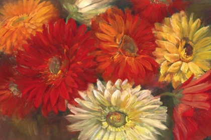 Picture of GERBERAS