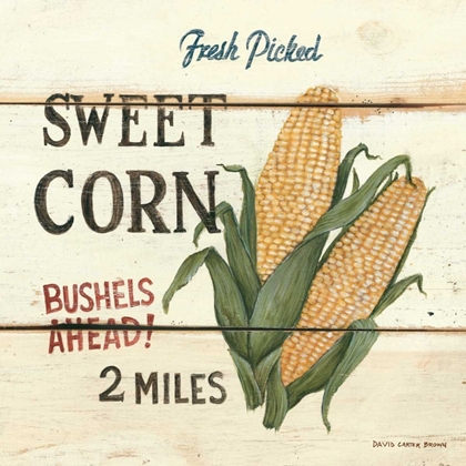 Picture of FRESHPICKED SWEET CORN