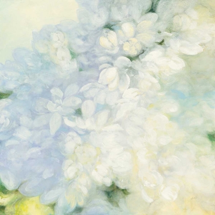 Picture of WHITE LILACS BRIGHT