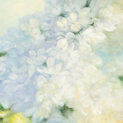 Picture of WHITE LILACS BRIGHT