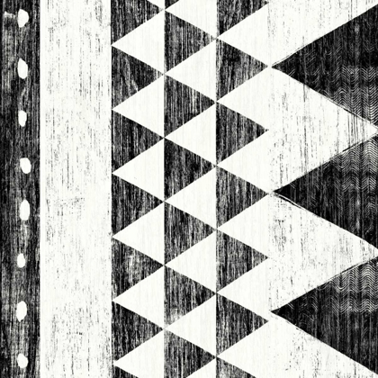 Picture of PATTERNS OF THE SAVANNA I NO GRAY BW