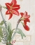 Picture of JOYFUL TIDINGS I ON WOOD