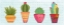 Picture of SOUTHWEST CACTUS VI