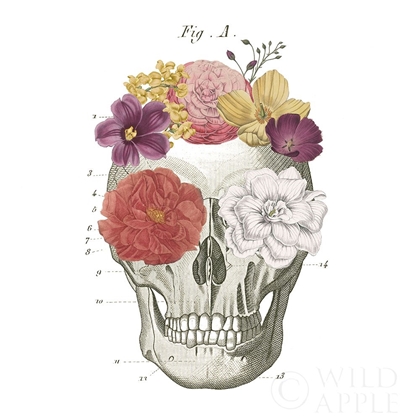 Picture of FLORAL SKULL I