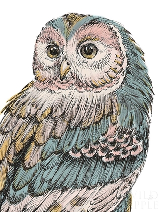 Picture of BEAUTIFUL OWLS I PASTEL