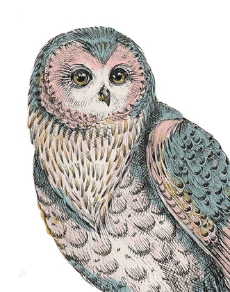 Picture of BEAUTIFUL OWLS IV PASTEL