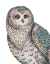 Picture of BEAUTIFUL OWLS IV PASTEL