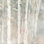 Picture of A WOODLAND WALK II