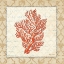 Picture of CORAL BEAUTY LIGHT I