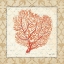 Picture of CORAL BEAUTY LIGHT III