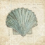 Picture of BEACH TREASURES I