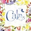 Picture of CALM